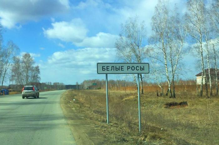 Н бел. Белые росы, село Кременкуль. Поселок белые росы Челябинская область. Село Кременкуль Сосновский район Челябинская область. Белогорск р-н белые росы.