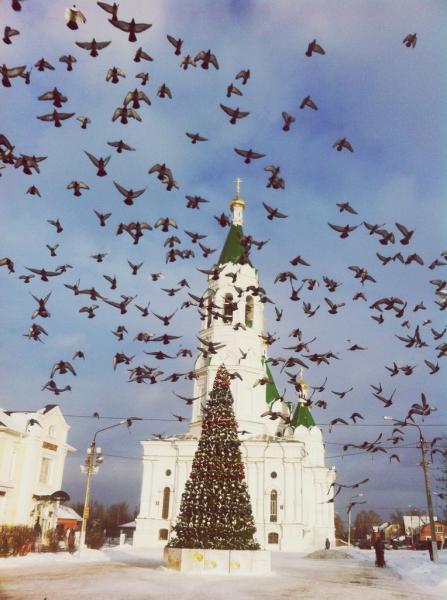 Площадь александра невского егорьевск фото