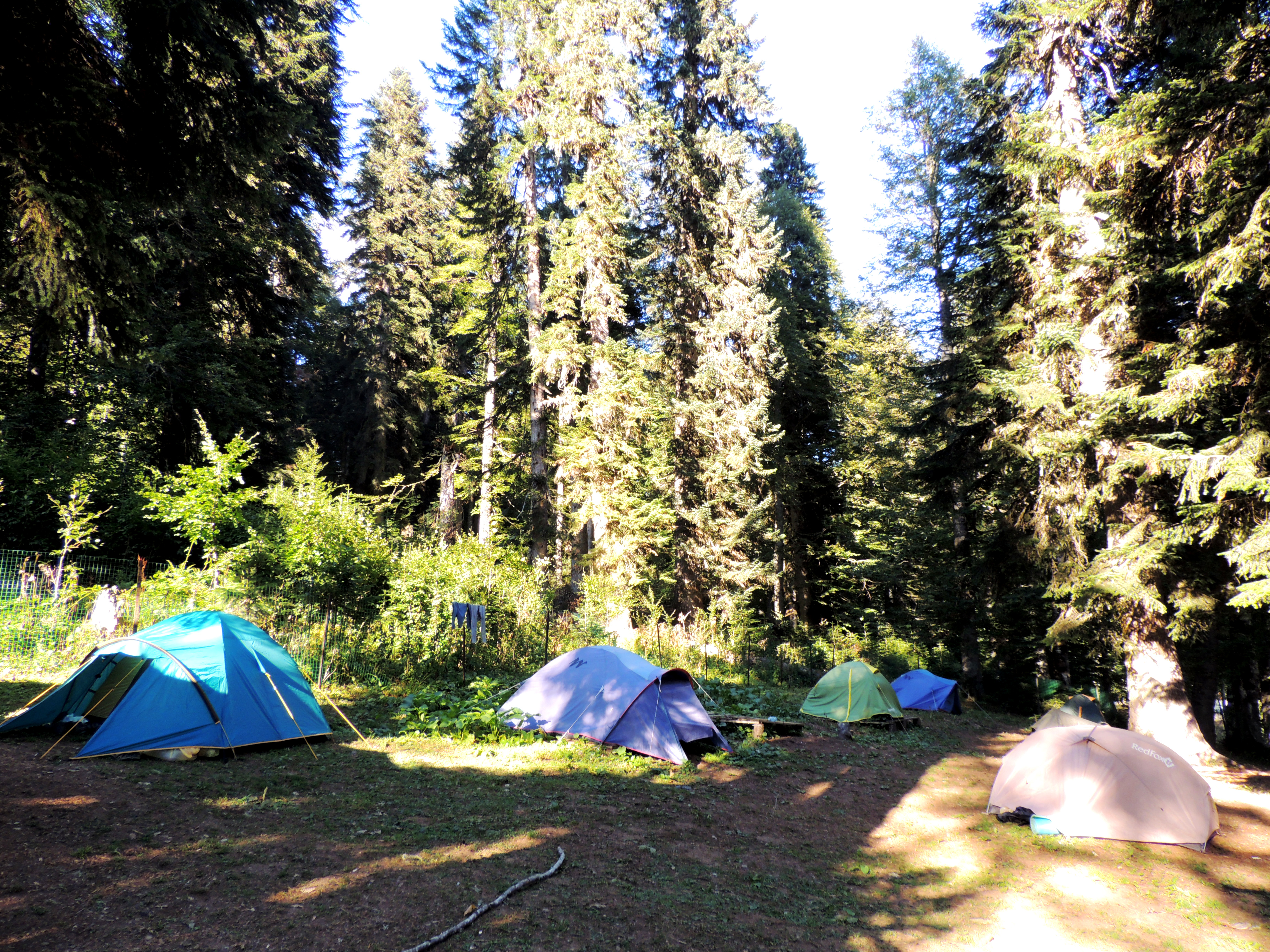 палаточный лагерь россонь. Best camp палатки. селигер палаточный лагерь. упрощение выделения гос земли под палаточный лагерь. палаточный лагерь на улице америка.