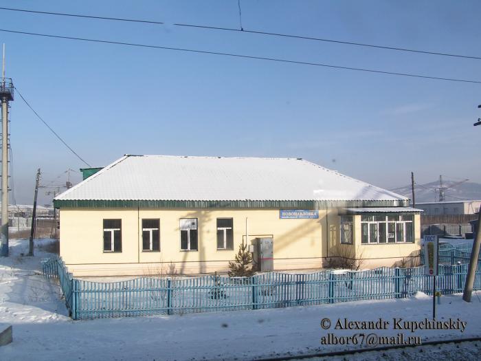 Погода в петровске забайкальском новопавловка. Поселок Новопавловка Забайкальский край. Станция Новопавловка Забайкальский край. Петровск Забайкальский край , пгт Новопавловка.