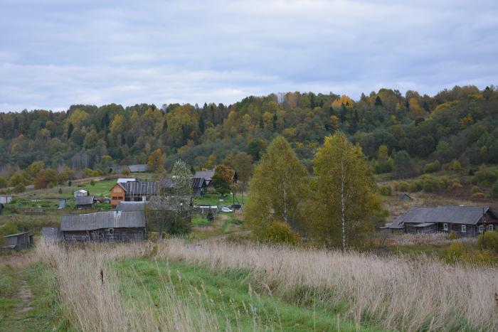 Дер лукино