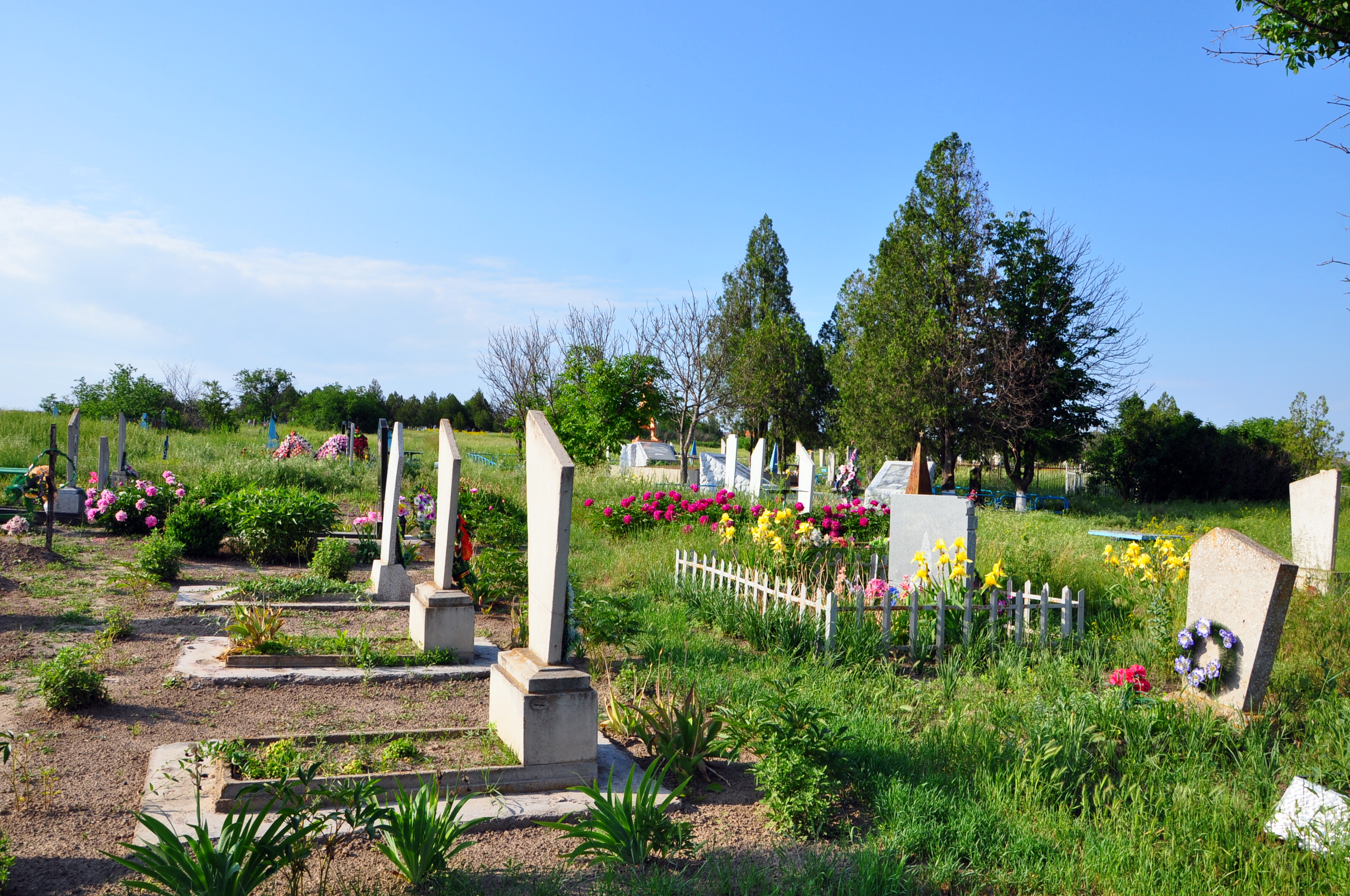 Погода великая белозерка