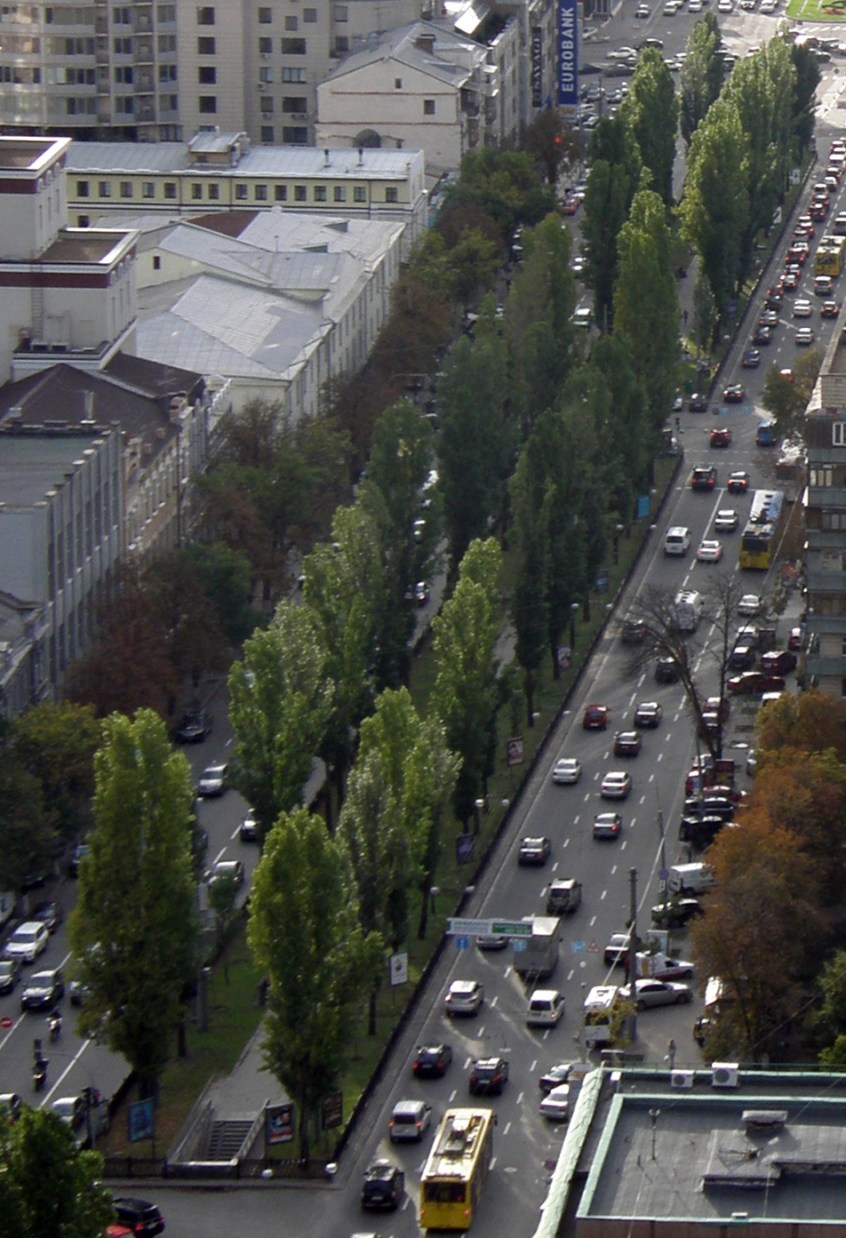 Taras Shevchenko Boulevard - Kyiv