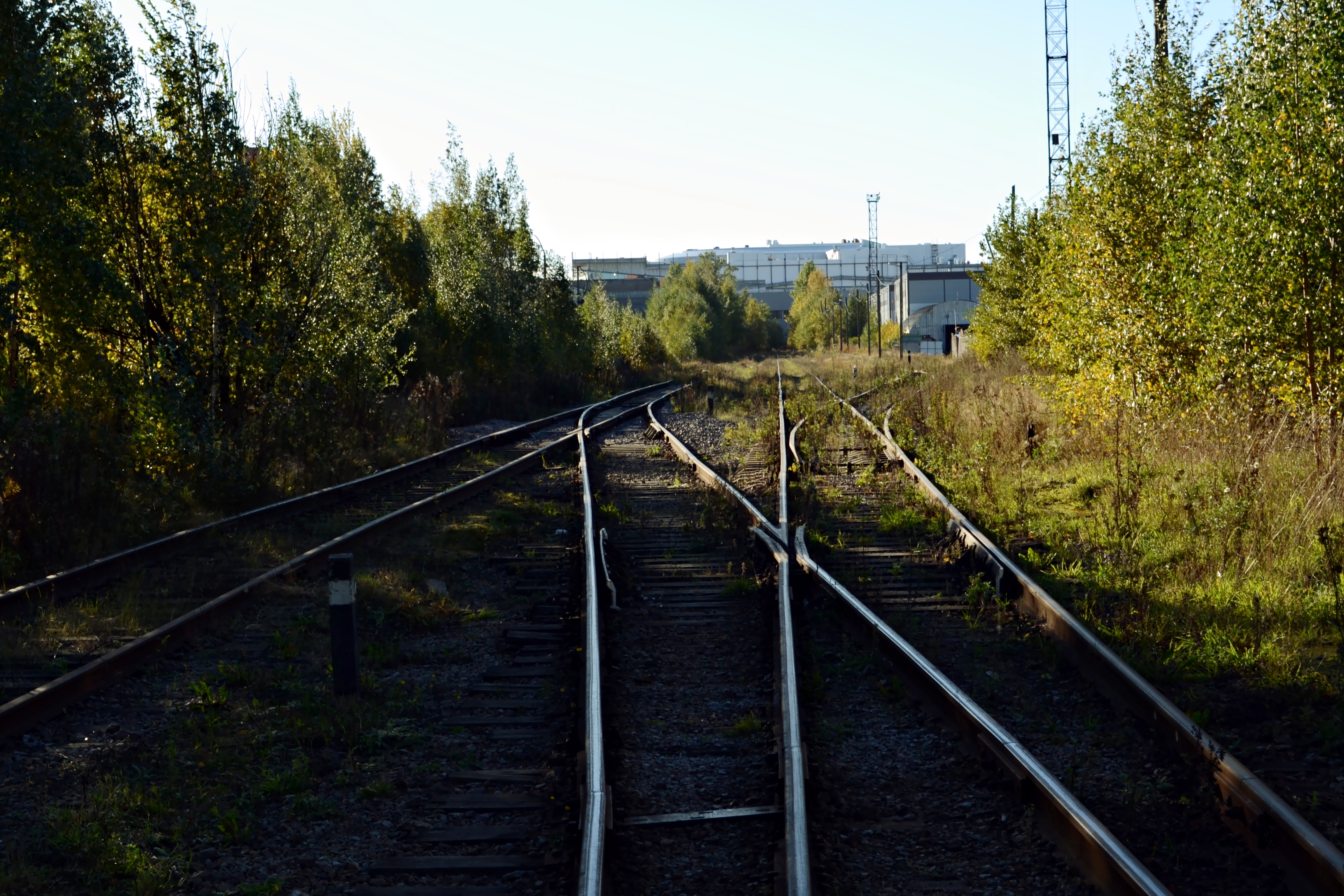 дача долгорукова санкт петербург