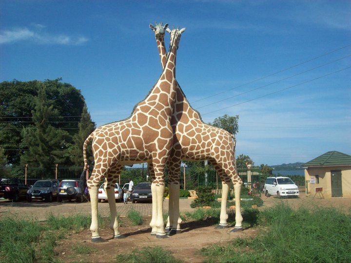 Зоопарк 1 видео. Образовательный центр дикой природы Уганда. Уганда зоопарк. Кампала зоопарк.