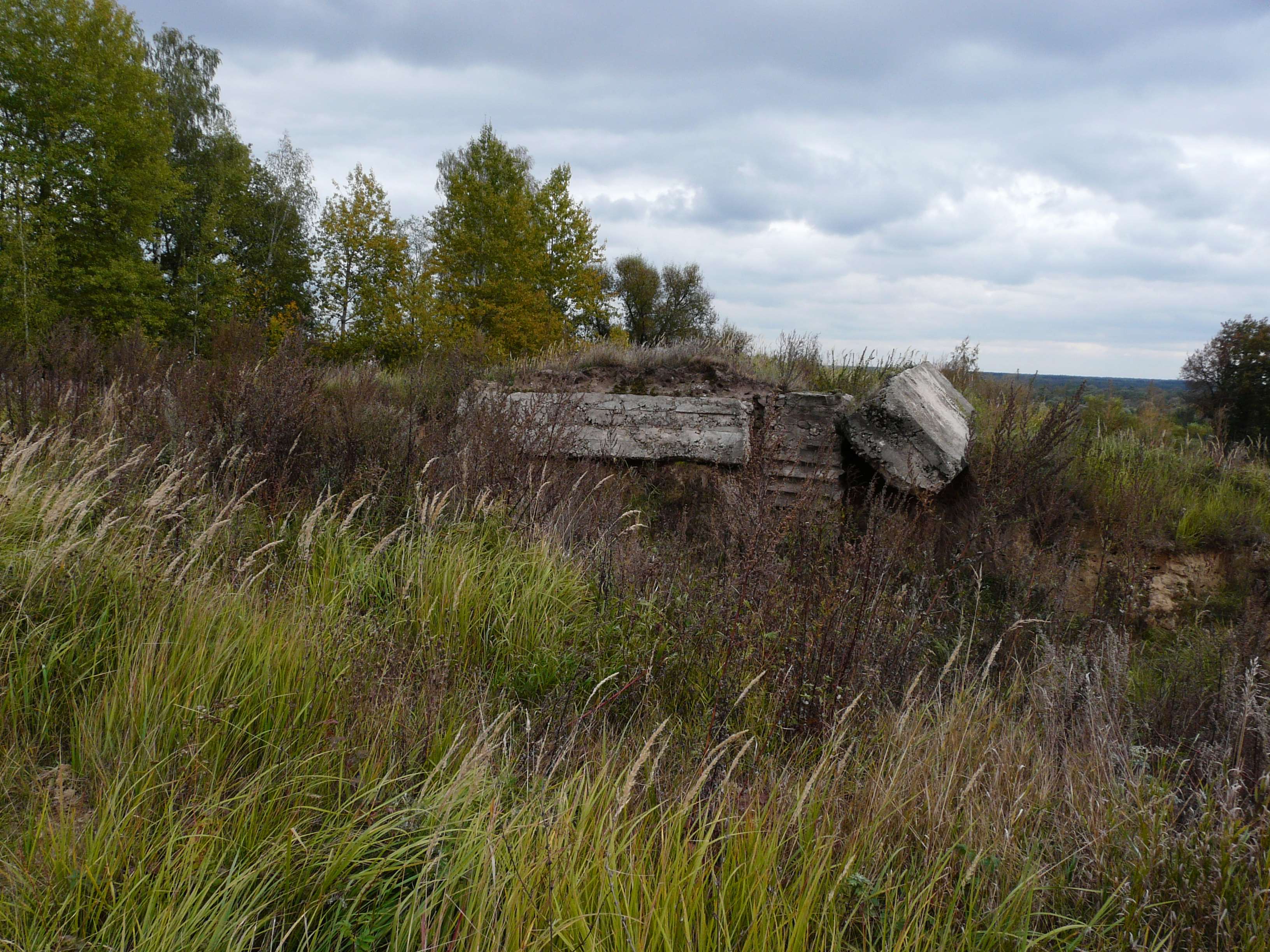погода лопушь. погода лопушь. погода лопушь. лопушь выгоничский район. погода лопушь.