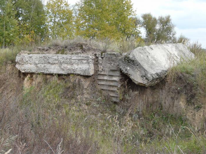 лопушь брянская область. деревня колодное выгоничского района. лопушь брянская область. детский сад березка выгоничский район. брянская область выгоническии раион село лопуш.