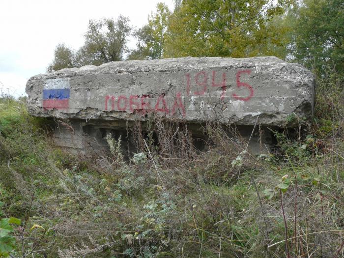 лопушь брянская область. лопушь выгоничский район. деревня зубовка брянская область. выгоничи село лопушь. лопушь выгоничский район.