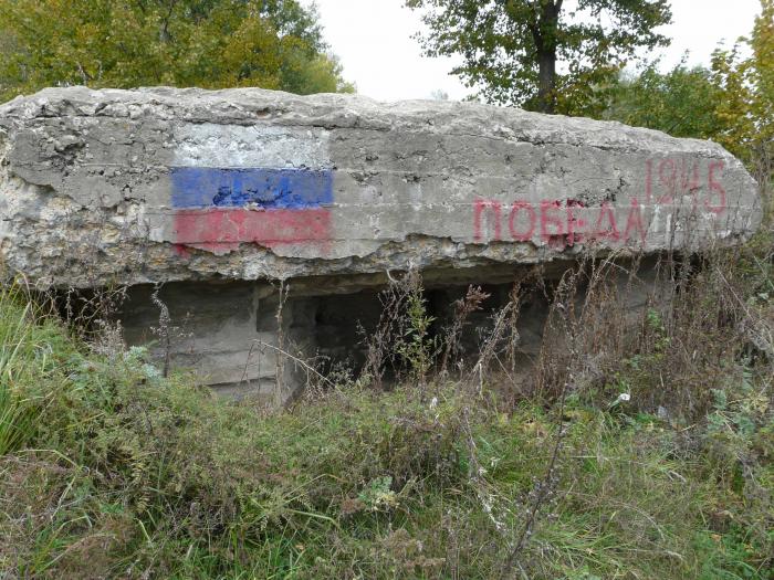 залядка брянская область деревня. фотографии аварии в поселке лопушь выгоничского района. погода лопушь. школа искусств выгоничи. село заваль фото.