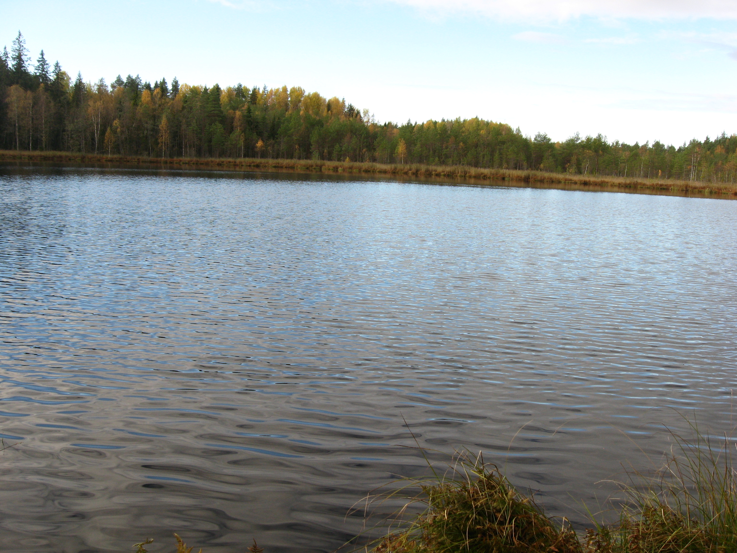 Погода в м озерах. Озеро малый Юлуксьер. Мелкое озеро. Озеро мало Калтайское.