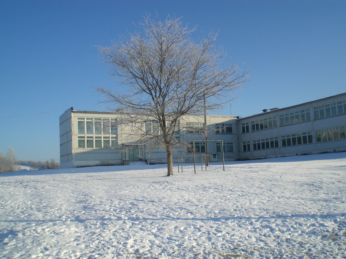 марьинская школа 5 ставропольский край. школа 5 станица марьинская. школа ст марьинская ставропольский край кировский район. марьинская средняя общеобразовательная школа юринского района. марьинская школа 5 ставропольский край.