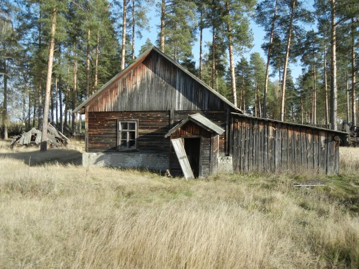 Поселок пионерский. Керженец поселок Пионерский. Керженец Пионерский лагерь. Керженец Нижегородская область пионерское. Поселок Керженец Нижегородская область Борский район.