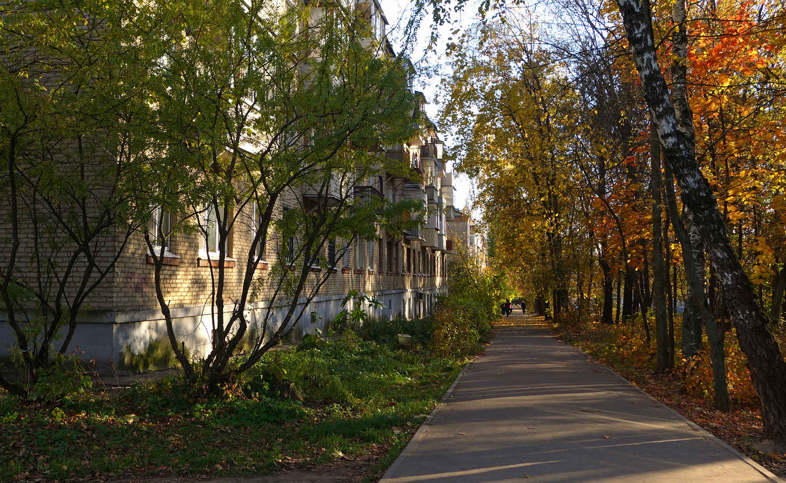 Пионерская улица московская область. Пионерская 12 Лыткарино. Лыткарино Пионерская 9. Сайт Лыткарино,ул Пионерская. Город Лыткарино ул Пионерская 12.