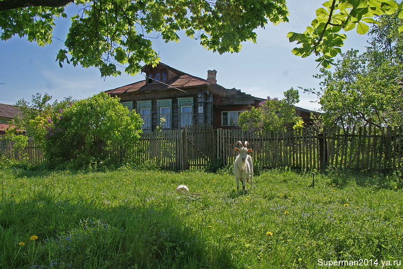 Деревня новое орехово зуевский