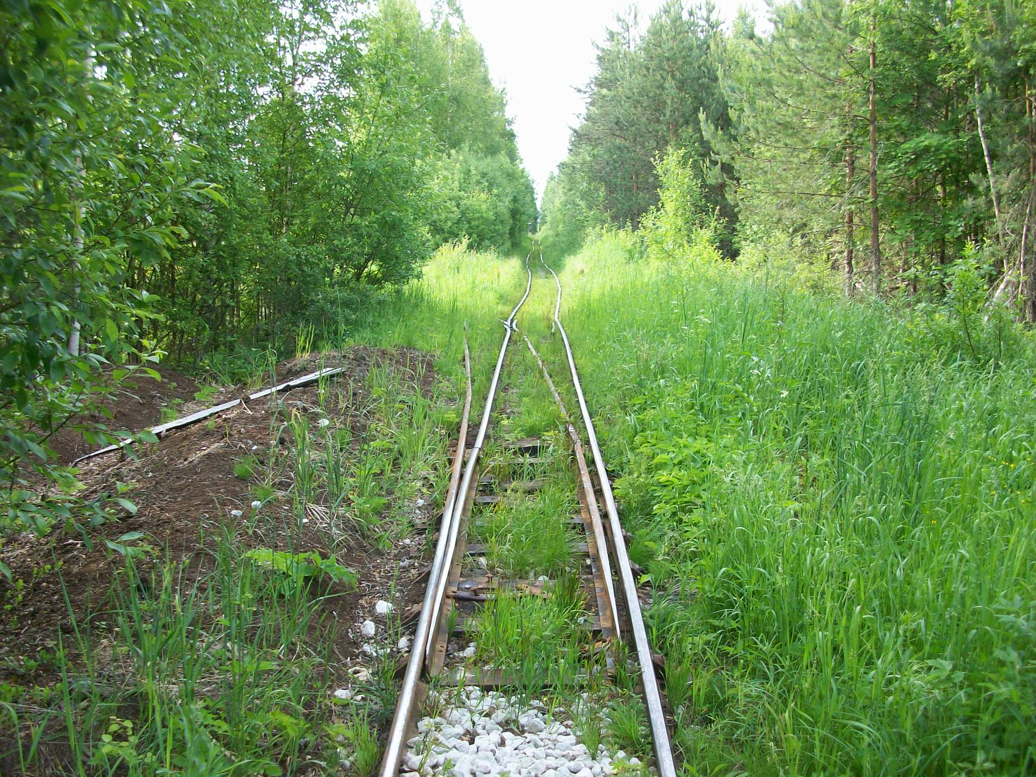 Торфяные разработки в московской области карта