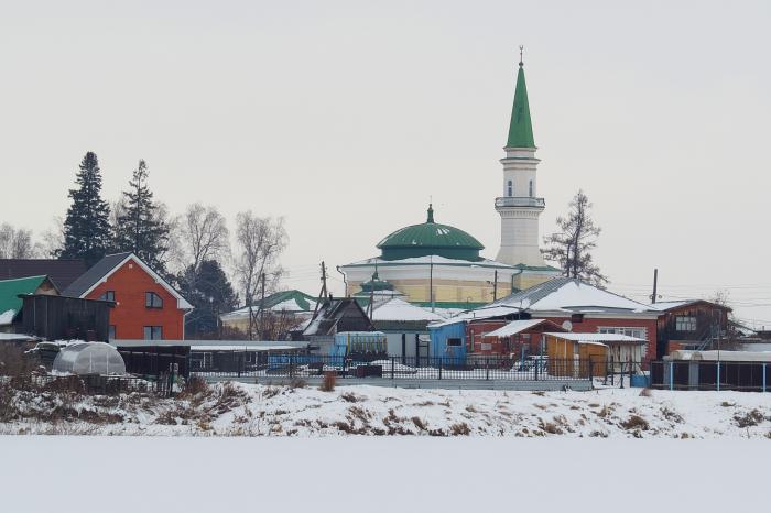 Недвижимость в ембаево тюменской области дома с фото