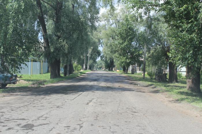 Погода ульяновская область с криуши. Криуша Вознесенский район Нижегородская область. Криуша Нижегородская область Арзамасский район. Село Криуша Нижегородской области Вознесенский. Вознесенское Нижегородская область Криуша санаторий.