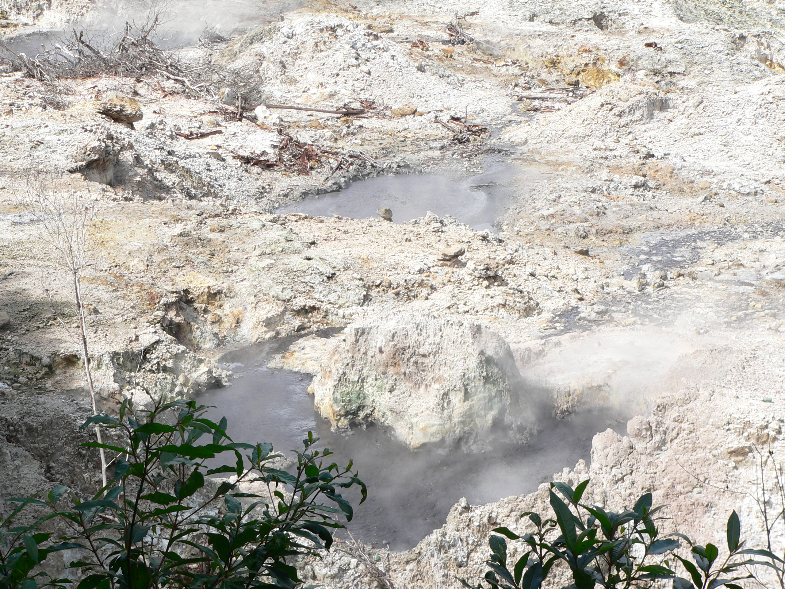 Sulphur Springs