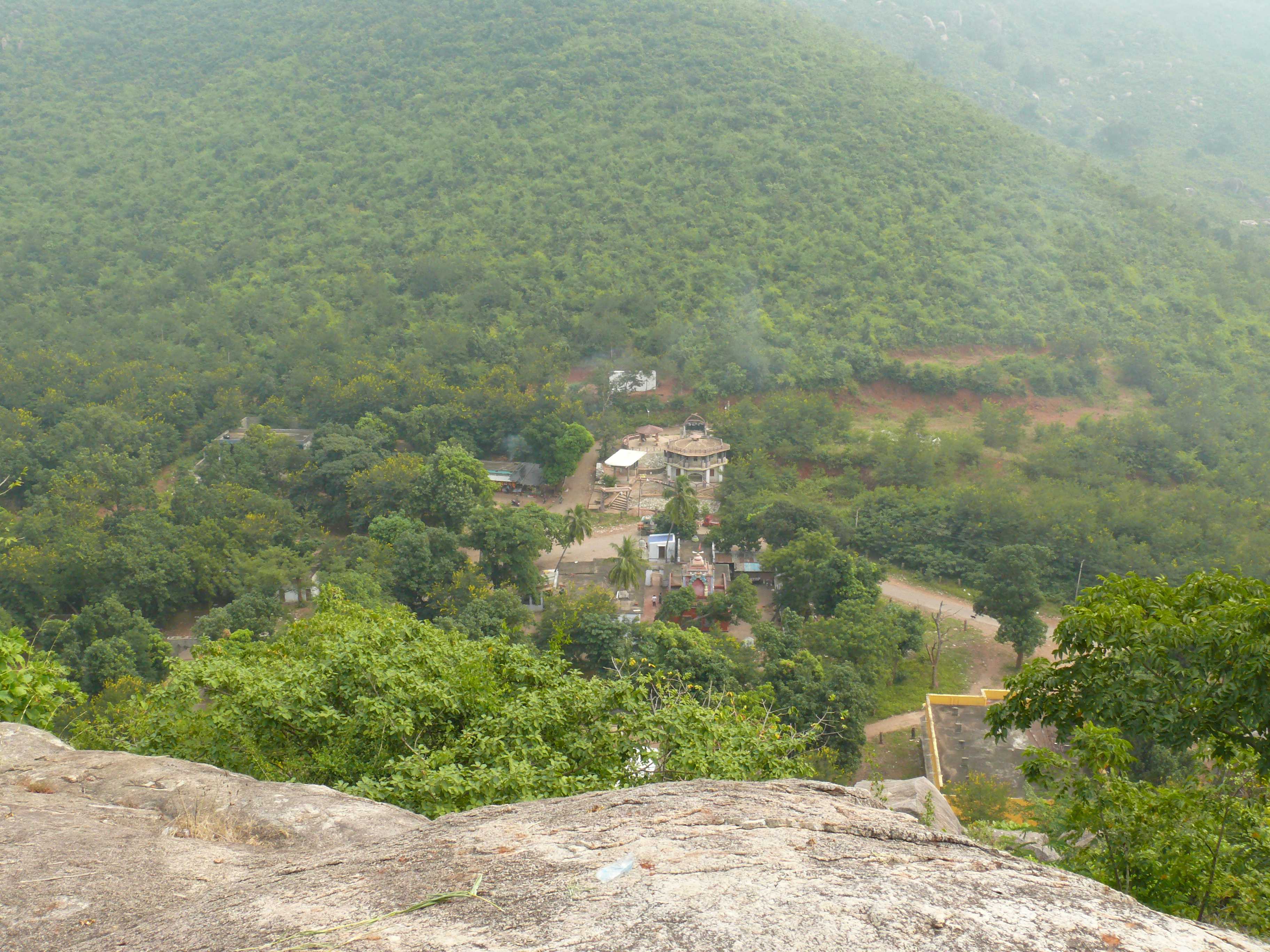 View point