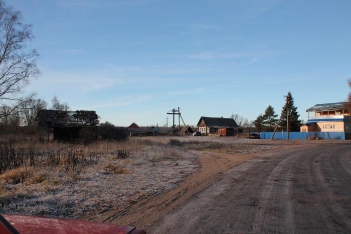 Поселок полой. Деревня Борки Московская область. Луговой Борок Нижегородская область. Деревня Борки Ломоносовский район. Деревня Борки Новгородская область.