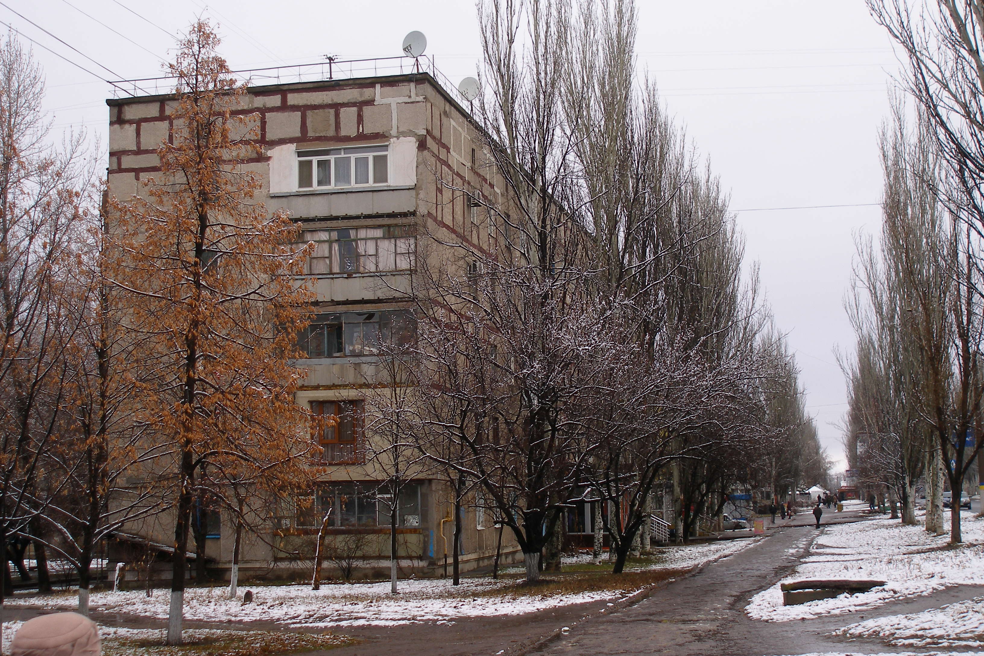 улица леваневского 3