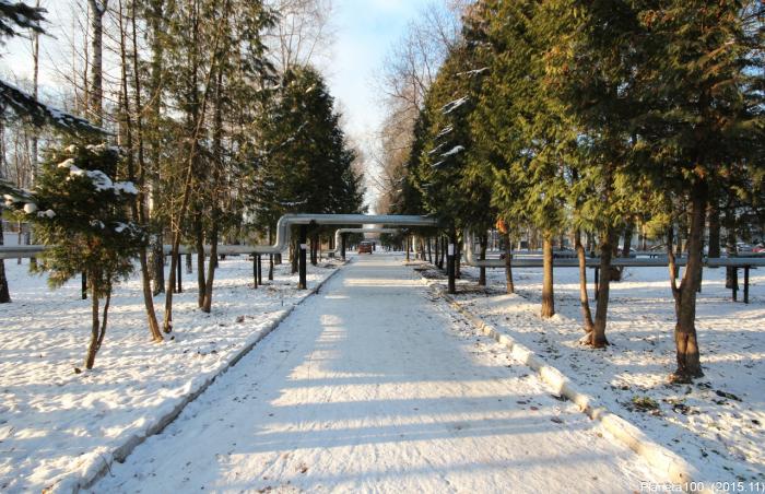 Парк в долгопрудном зимой