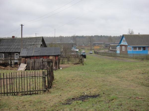 Погода вындин остров. Вындин остров Волховский район. Деревня Вындин остров Волховского района. Вындин остров Ленинградская область. Деревня остров Волховский район Ленинградская область.