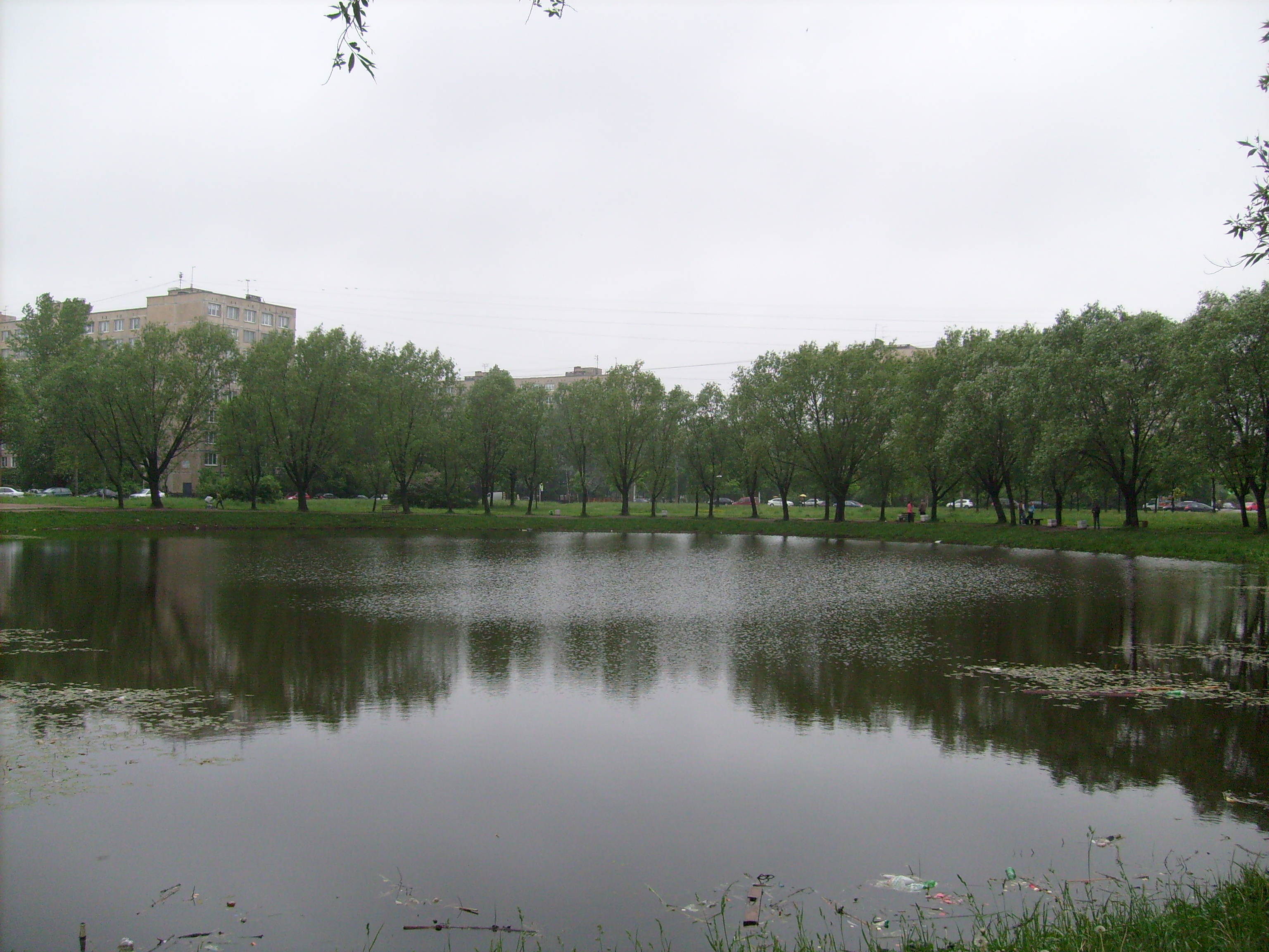 Водоемы спб. Альпийский пруд СПБ. Альпийский пруд Купчино. Сквер Виктора Набутова. Волковский пруд СПБ.