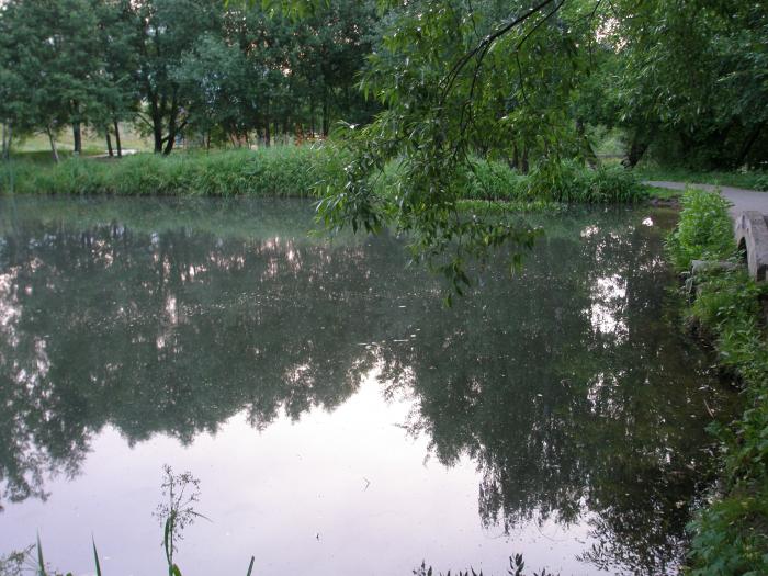 7 прудов. Троицкий пруд Москва. Курлацкий пруд Таганрог. Родионовский пруд в Химках.. Водоем под Москвой.