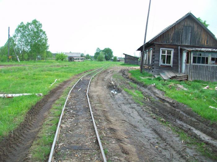 Пинюг карта спутник