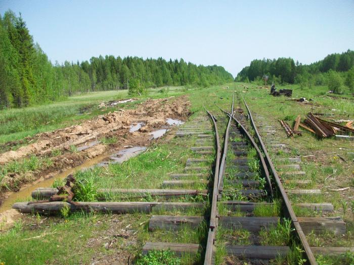 Лоймольский леспромхоз Карелия Лоймола