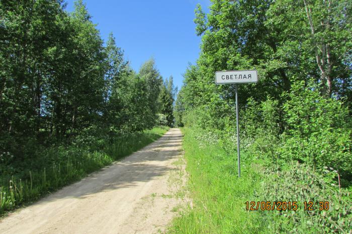 Километрах от поселка. Деревня Передольская Батецкого района Новгородской области. Деревня Заплюсье Псковской области. Село Раглицы Новгородской области. Заплюсье населенный пункт.