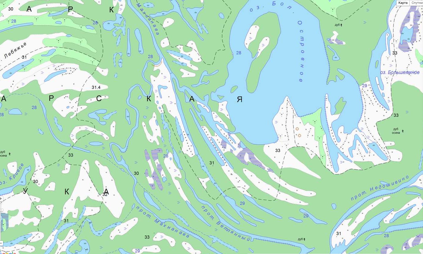 Протока. Озеро Ветляное. Васильсурск протока. Протока Недошивина. Протока Лакымпасл.