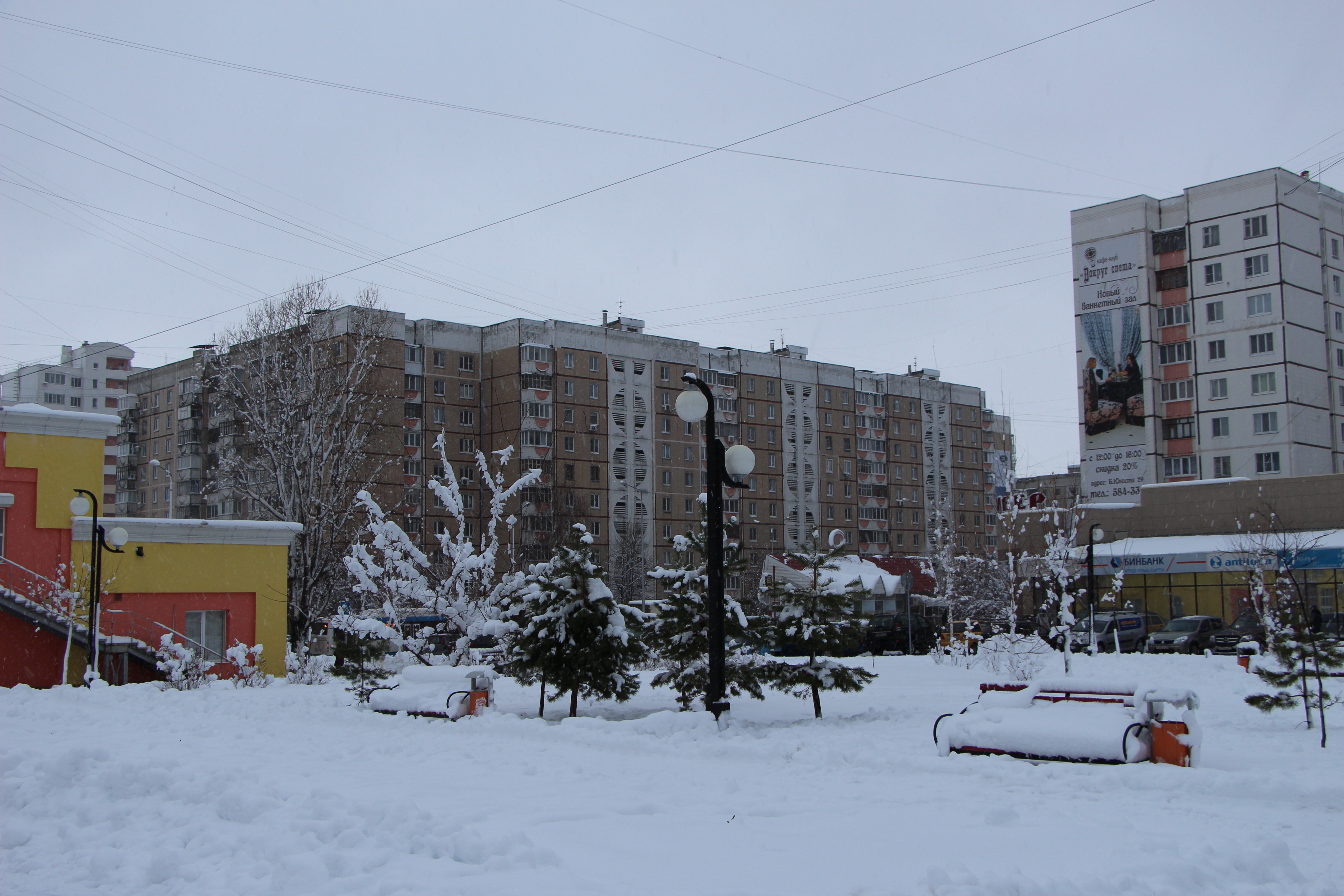 Белгород 19. Конева 19 Белгород. Ул Конева, 19,. Ул Конева Белгород. Конева 80.