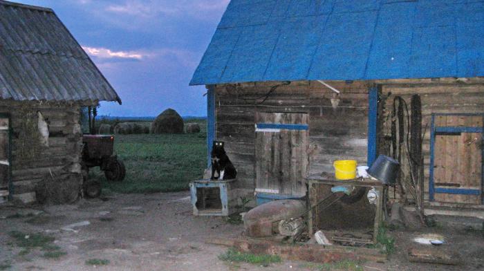 Локнянская барахолка локня. Локнянская барахолка.