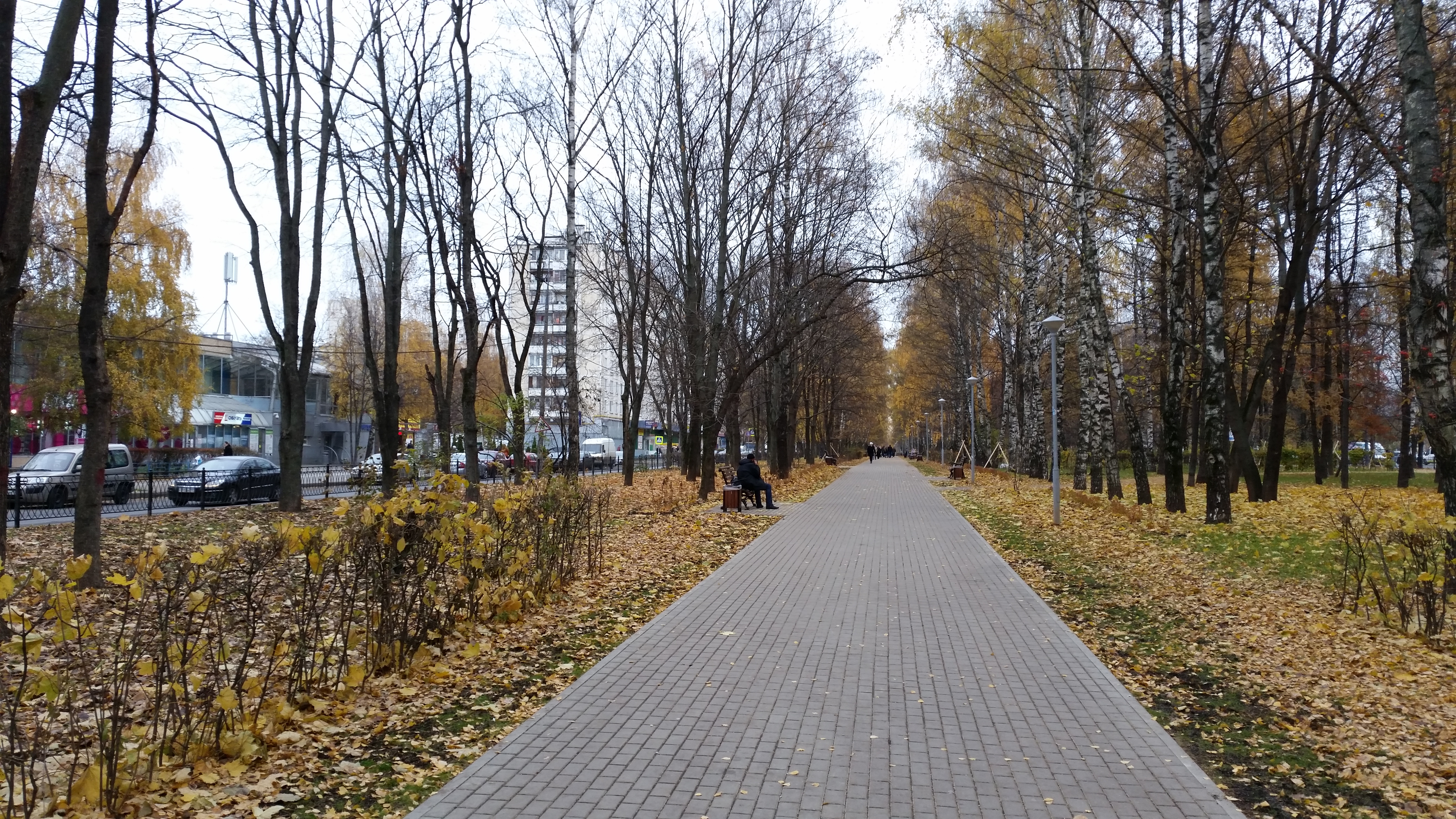 москва бульвар райниса