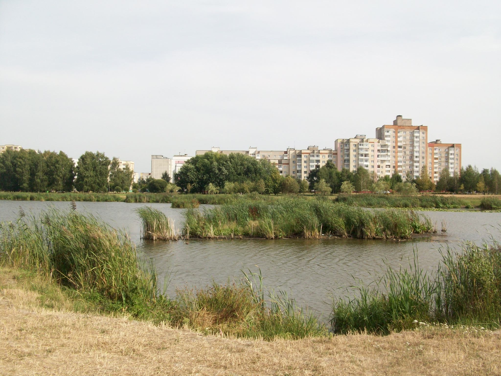 молодой парк барановичи