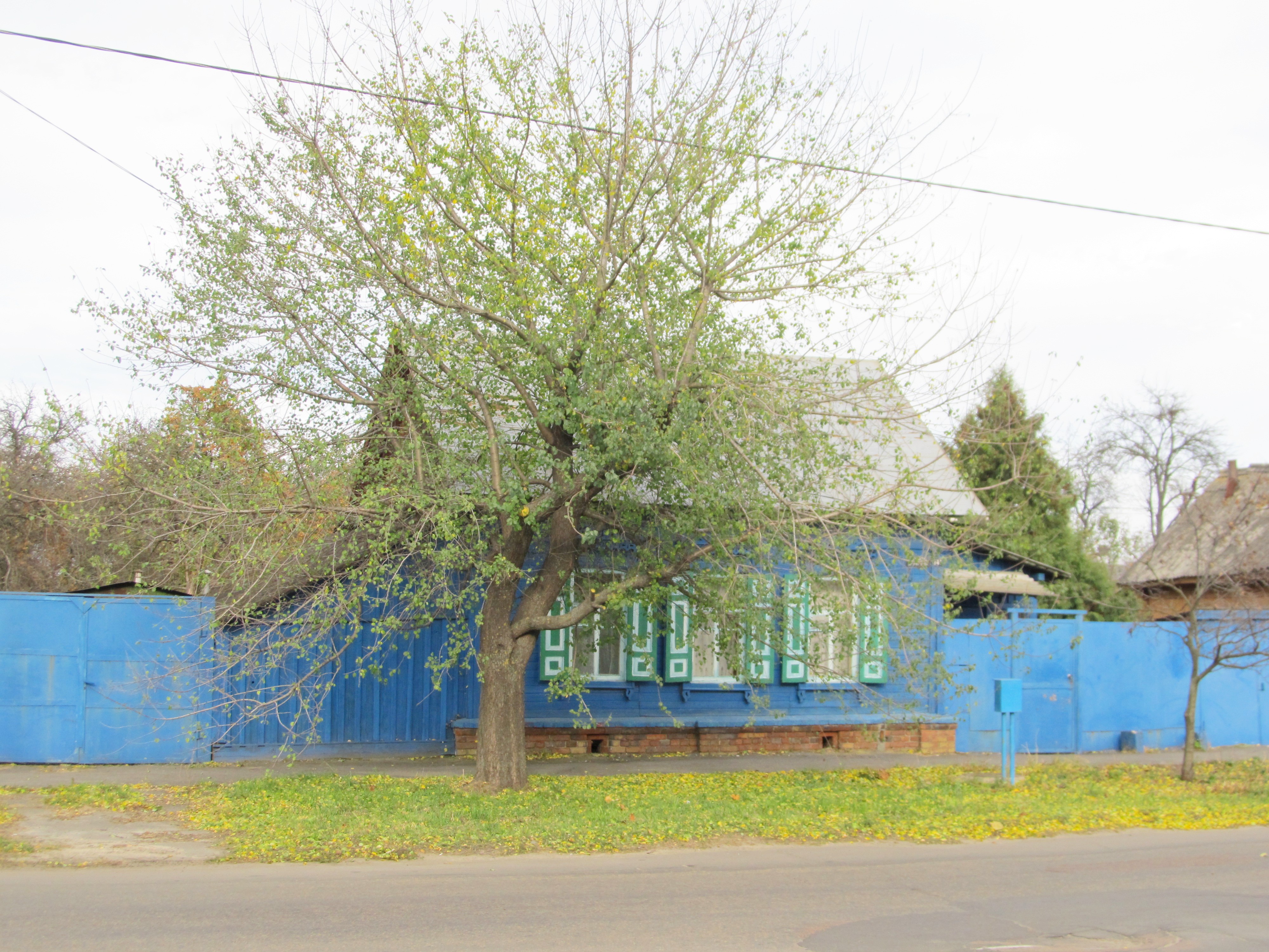 улица бочкина гомель фото. бочкина гомель. ул. ул бочкина. бочкина гомель.