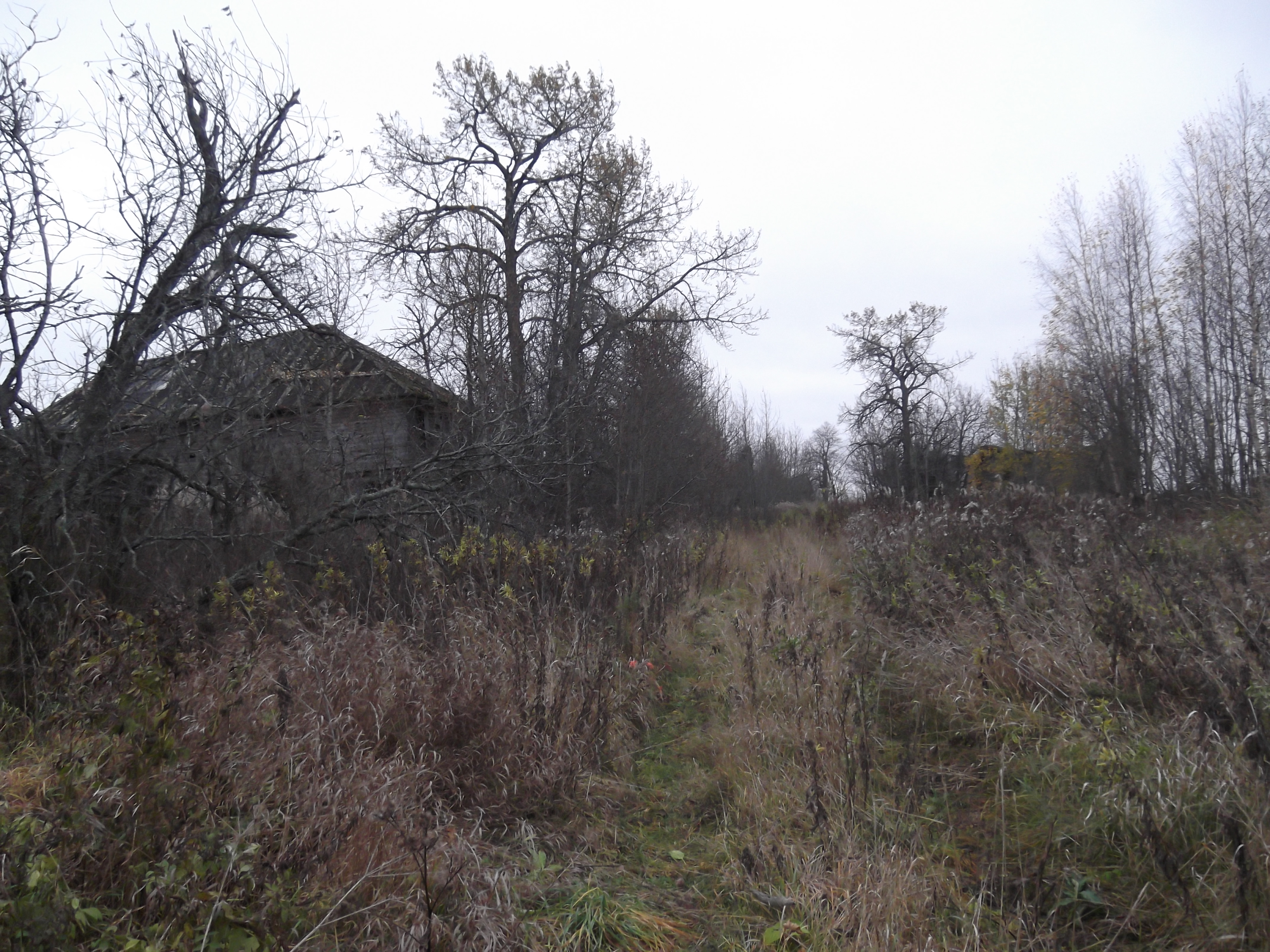 Богородское сельское поселение. Богородское Усть-кубинский район. Деревня Богородское Усть кубинский район. Богородское Вологодская область Усть кубинский район. Село Богородское Усть-кубинского района.