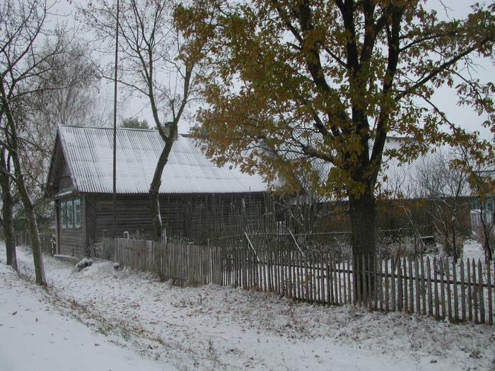 подберезье (деревня, новгородский район). метеосервис подберезье. деревня смыч батецкий район. подберезье (деревня, новгородский район). храм георгия победоносца подберезье.