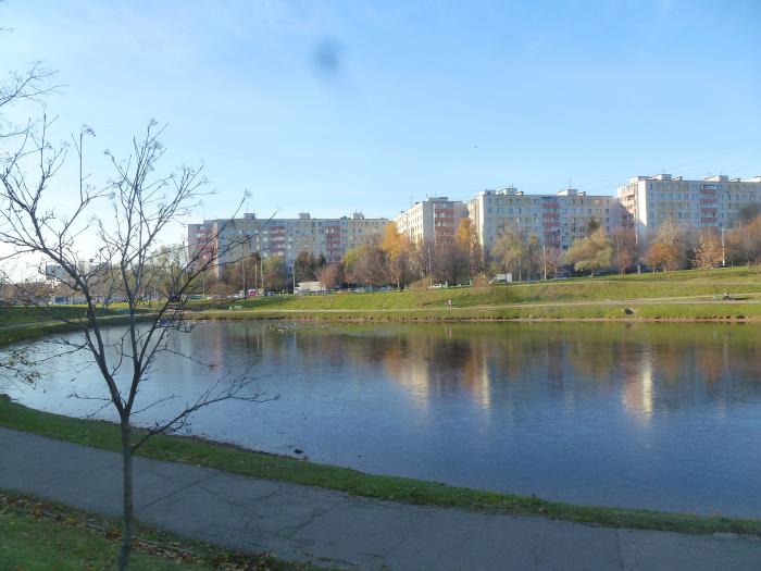 Голубинская улица. Голубинская улица, 25к1, Москва. Ясенево Голубинская улица. Ул Голубинская 25 к 1. Голубинская улица Москва Ясенево.