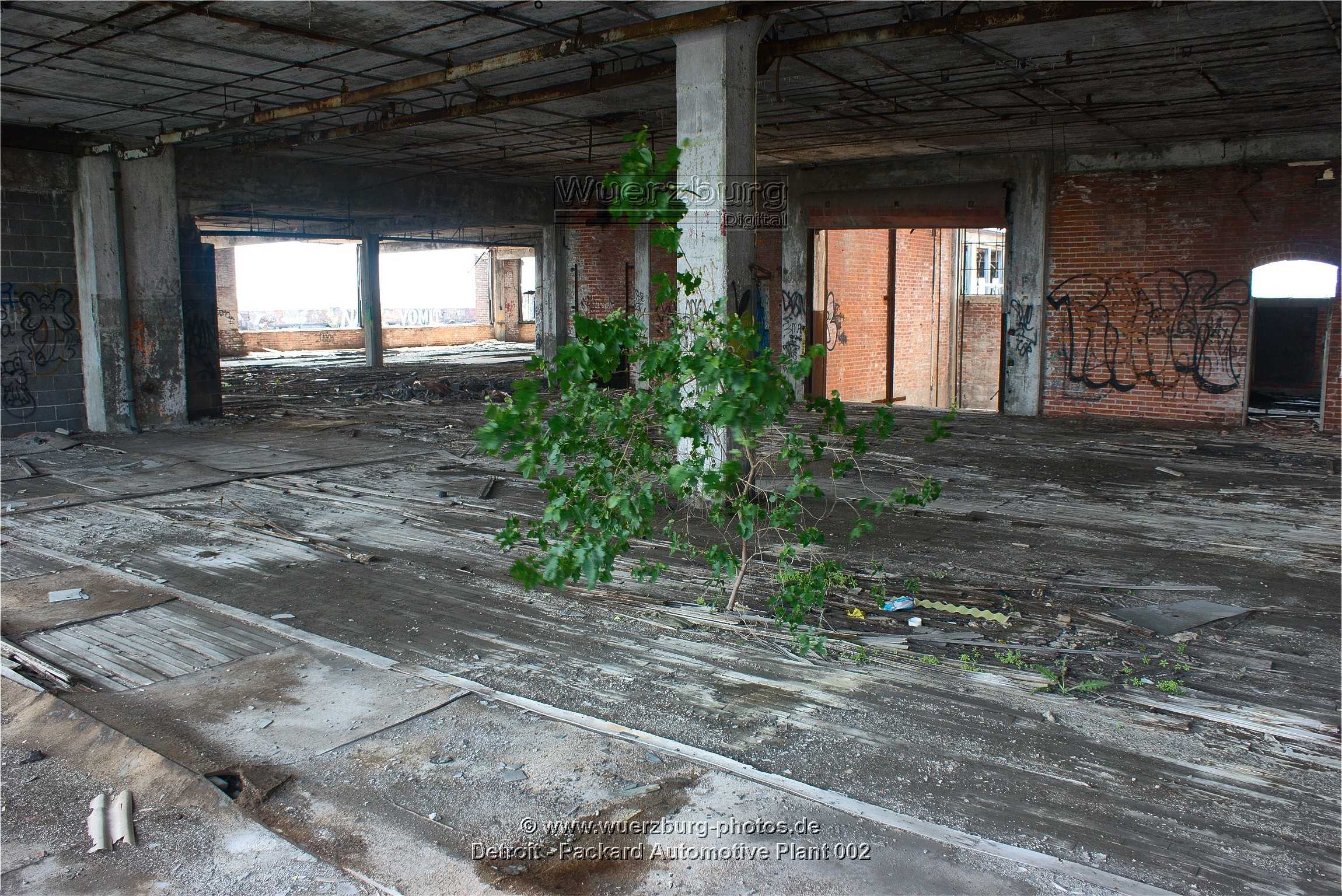 Packard Stamping Plant - Detroit, Michigan