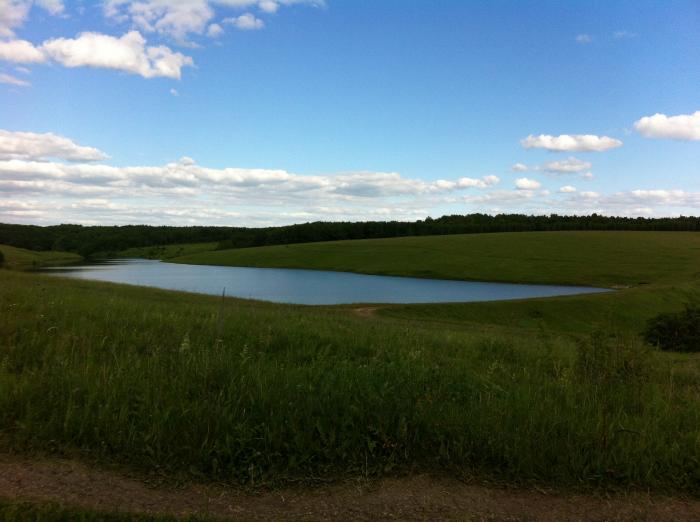 Село алексеевка челябинская область. Пруд село Алексеевка. Пачелма пруд. Пруд у села.