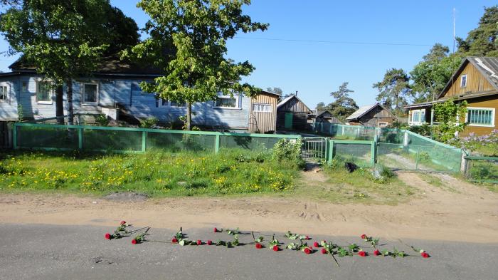 Рп5 видлица карелия. Село Видлица Олонецкого района. Село Видлица Олонец ул Сосновая д6. Куйкин Олонецкий район Видлица. Село Видлица улица Советская 54.