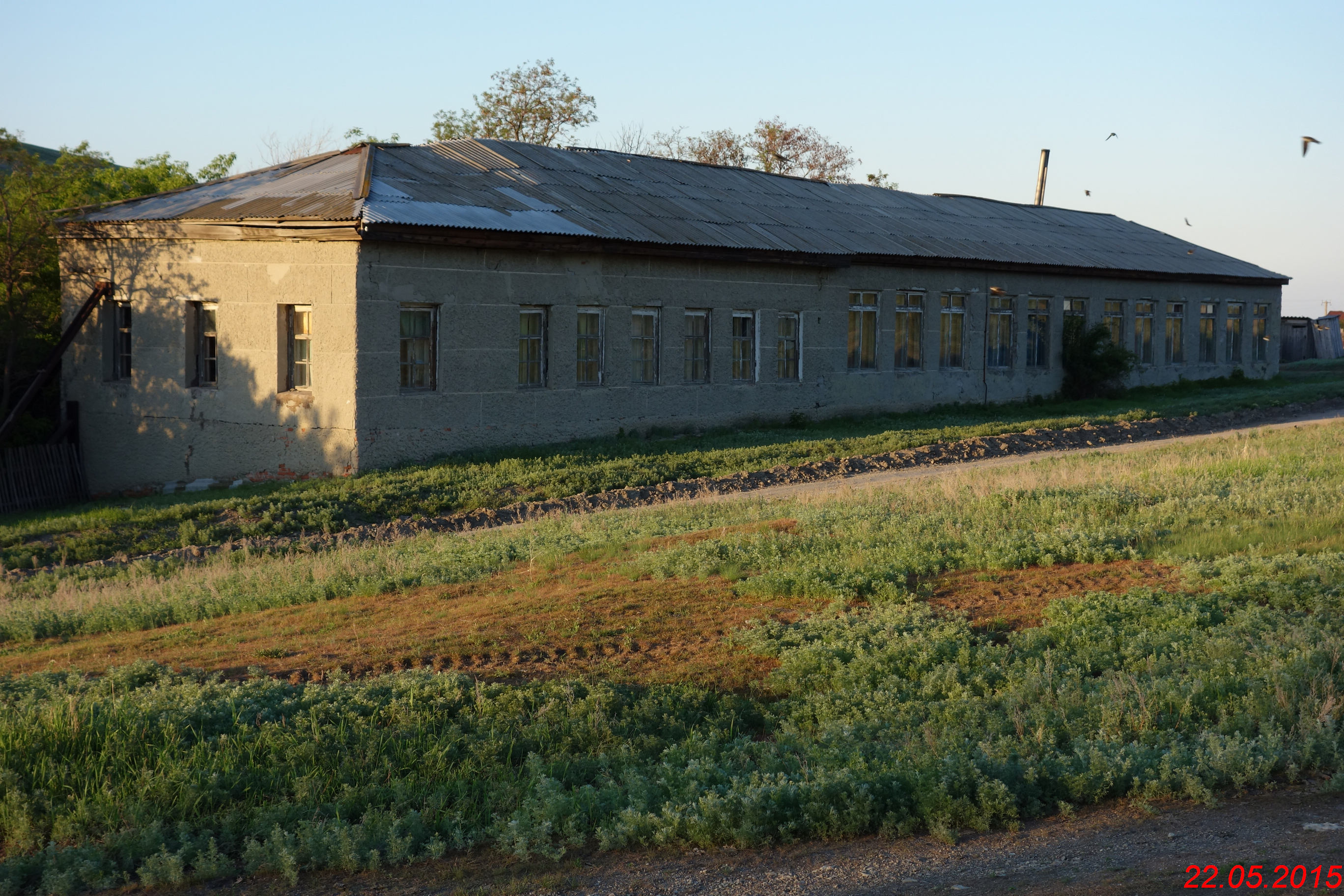 Погода село белогорское. Белогорское Саратовская область. Деревня Белогорское Саратовская область. Музей села Белогорское. Село Озеряне Белогорского.