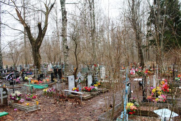 старое кладбище. старая русса старое кладбище. старая русса старое кладбище. старая русса старое кладбище. стпрое русса немецкое кладбище.