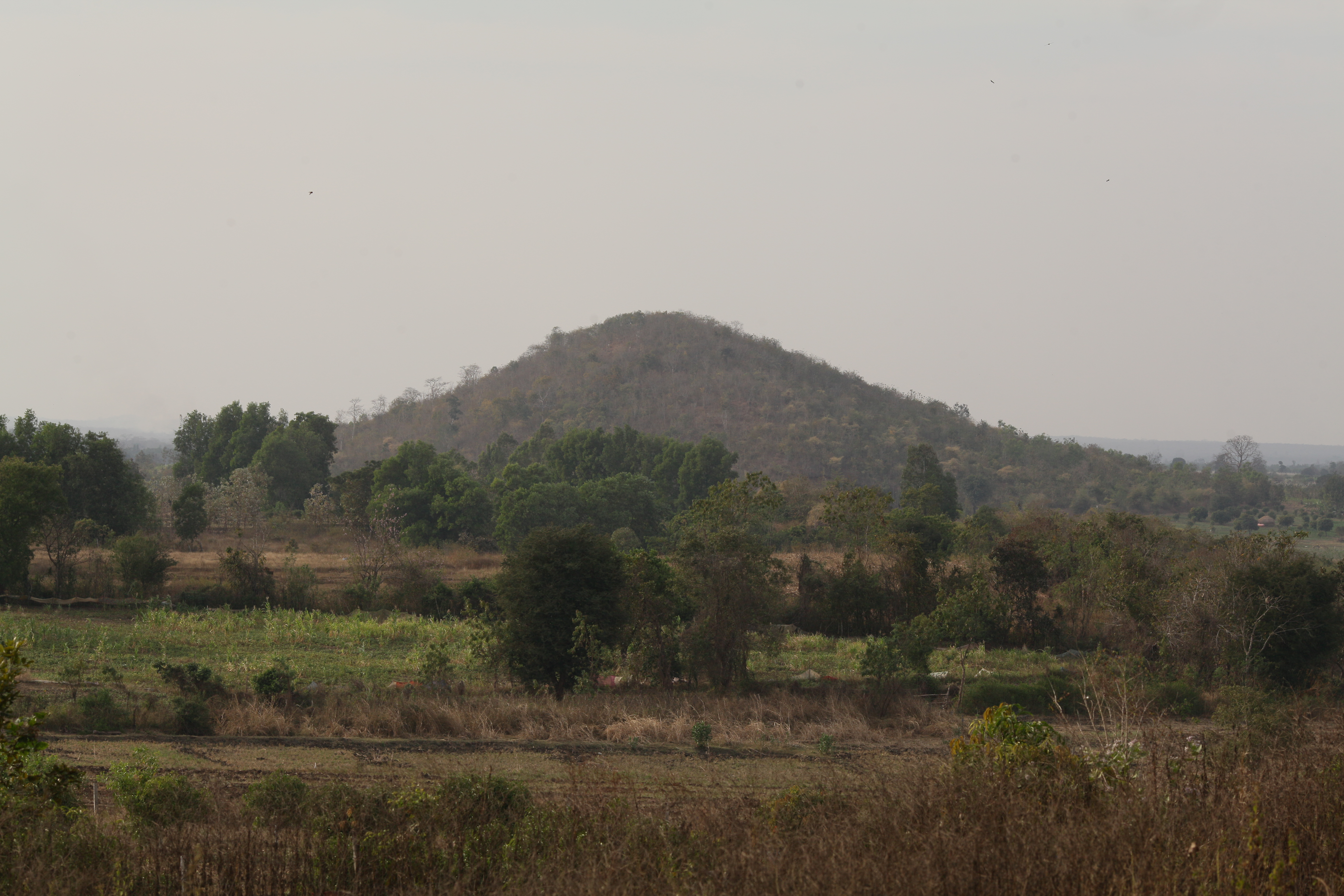 Hill