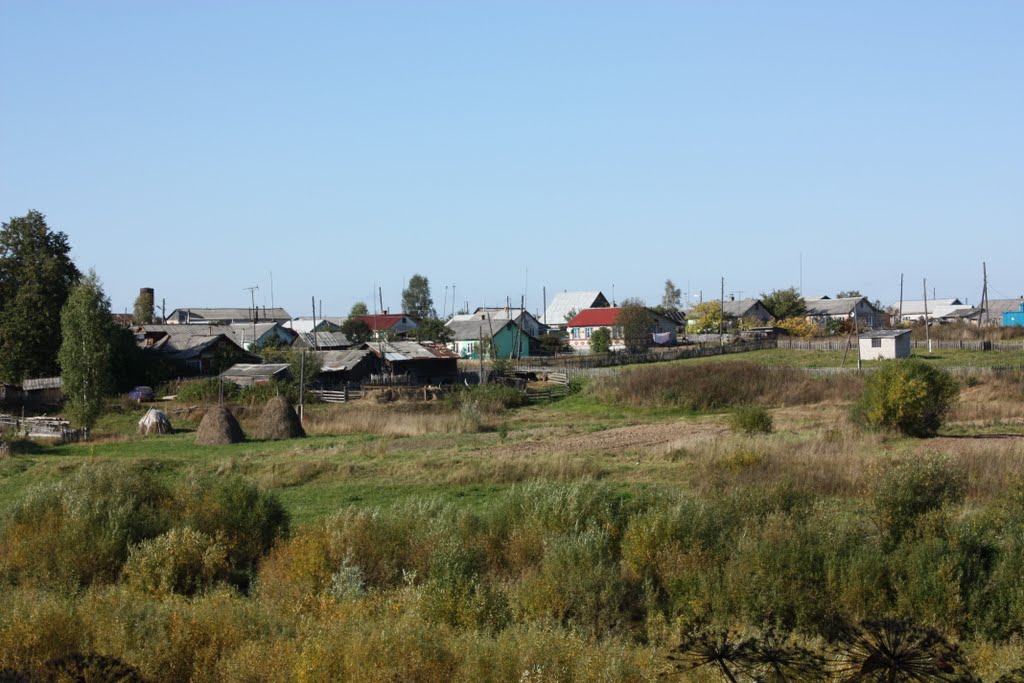 Населенная деревня. Село Останкова. Деревня Останково Вологодской области. Город любим деревня Останково Заречная 50. Николаевская область показное жители деревни.