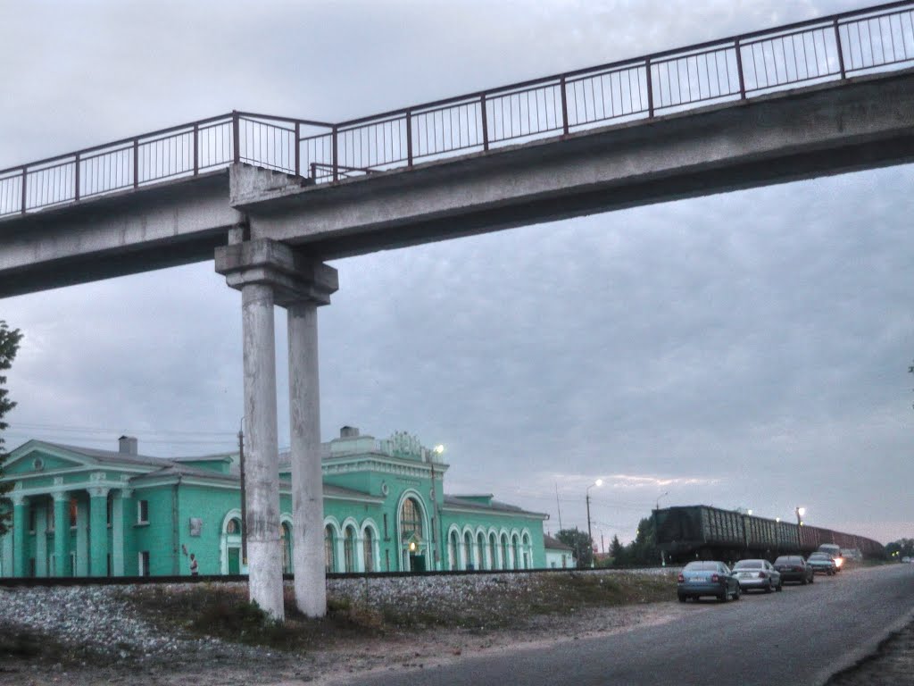 Льгов какая область. Льгов Курская область. Пешеходный мост через Сейм Льгов. Льгов мост.