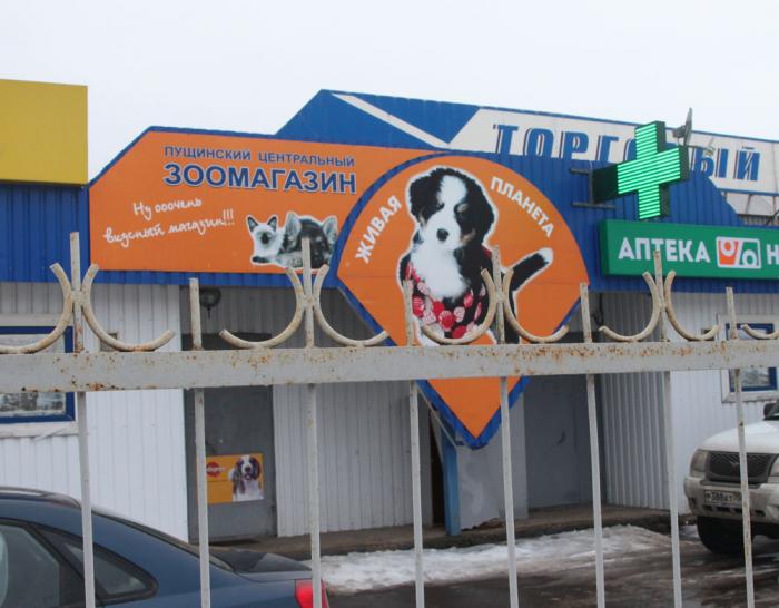 камеры пущино. пущино магазин. пущино рынок. строительный рынок пущино. пущино рынок.